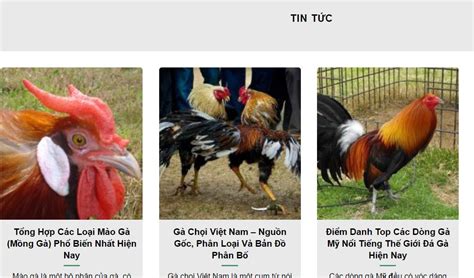 sabong67|Giới Thiệu Sabong67 .